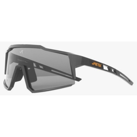 Gafas VAIROK ST Golden Photochromic